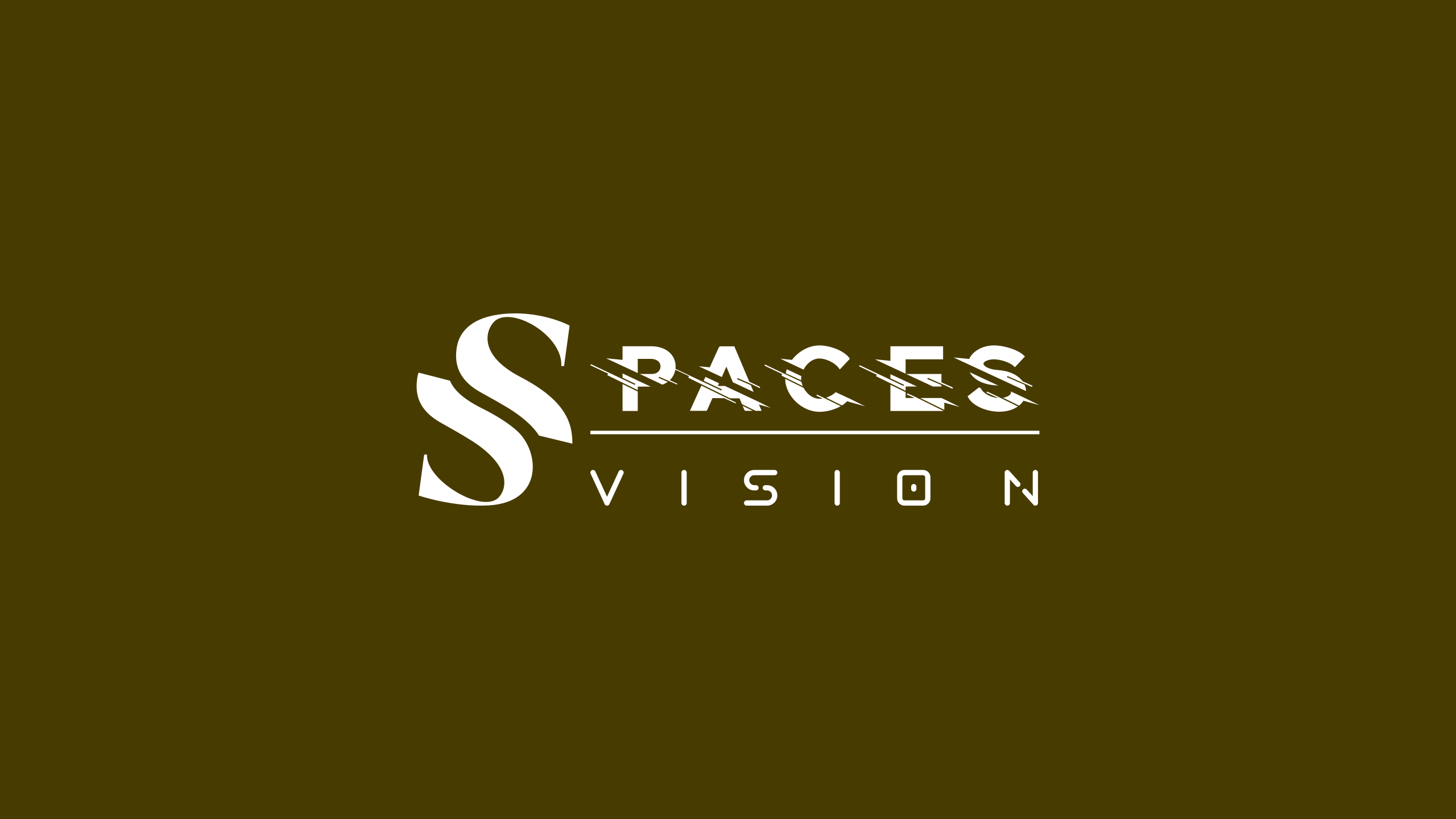 SPACES VISION